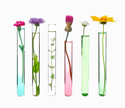 Logo-Aromaterapia-Barcelona