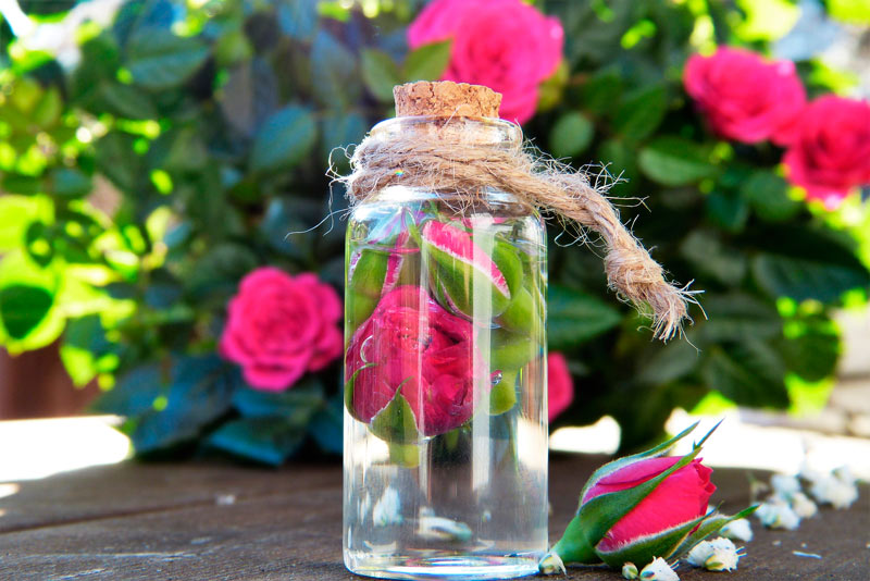 Taller-Aromaterapia-Barcelona-el-botiquín